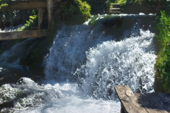 WhatsApp-Image-2026-04-23-at-12.40.55