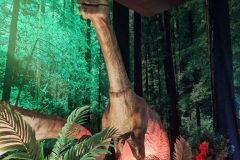 WhatsApp-Image-2026-02-28-at-13.15.20-2