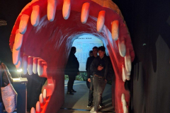 WhatsApp-Image-2026-02-28-at-13.15.20