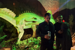 WhatsApp-Image-2026-02-28-at-13.15.21-1