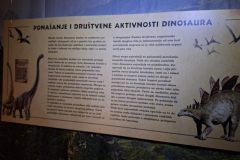 WhatsApp-Image-2026-02-28-at-13.15.21-2