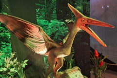 WhatsApp-Image-2026-02-28-at-13.15.22-1