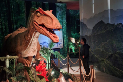 WhatsApp-Image-2026-02-28-at-13.15.22-3