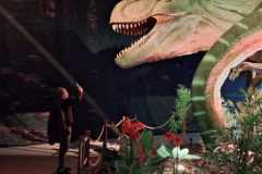 WhatsApp-Image-2026-02-28-at-13.15.22