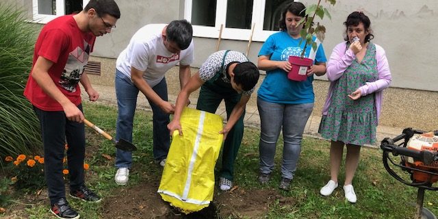 IMG_8262 Posadi drvo, ne budi panj