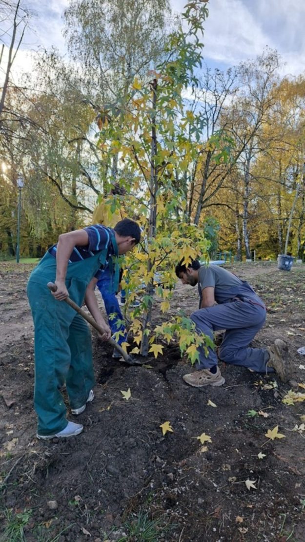 Slika1 Sadnja stabala i ukrasnog bilja, uređenje okoliša COO Lug- 29.10.2025.