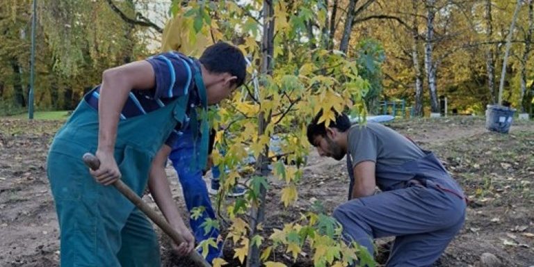 Slika1 Sadnja stabala i ukrasnog bilja, uređenje okoliša COO Lug- 29.10.2025.